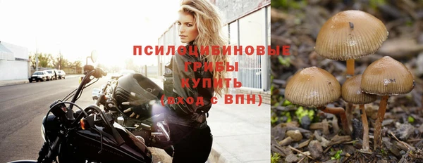 mdpv Зерноград